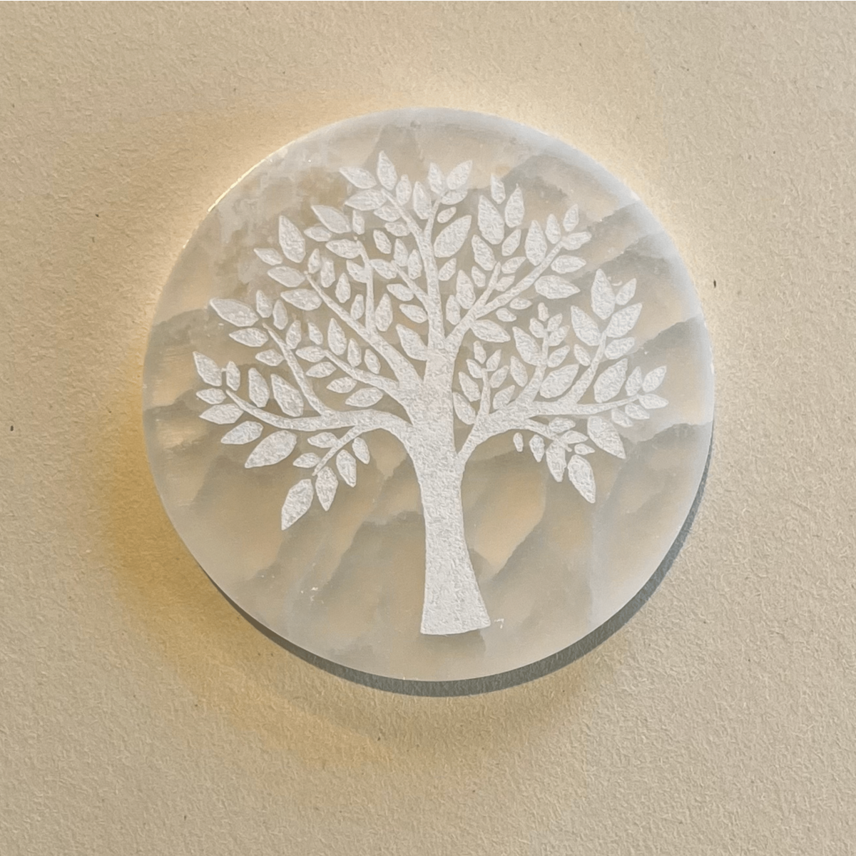 Selenite Plaatstructuur Van Het Leven