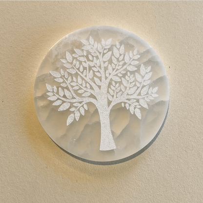 Selenite Plaatstructuur Van Het Leven