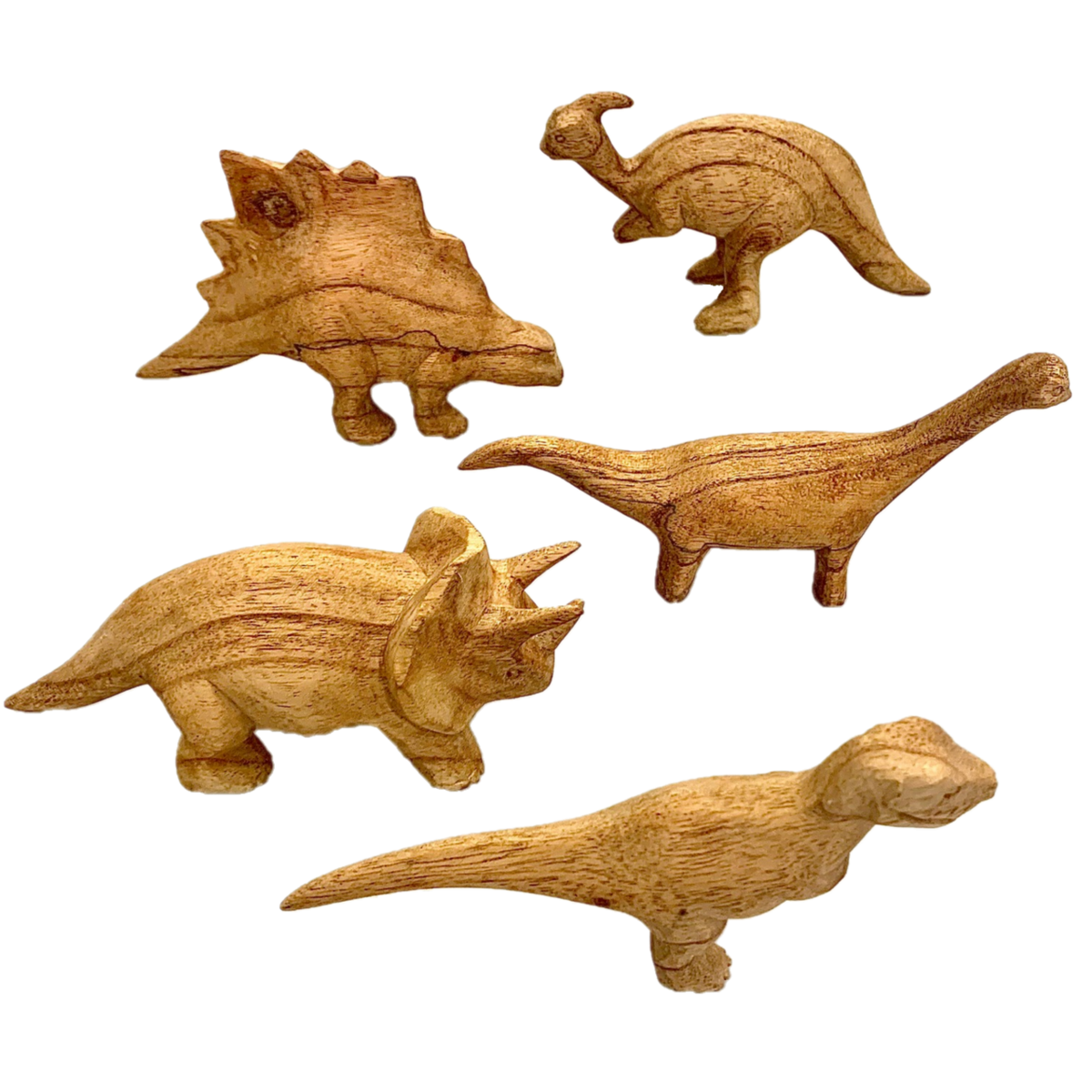 Dinosaurs Hand Carved/5Pc