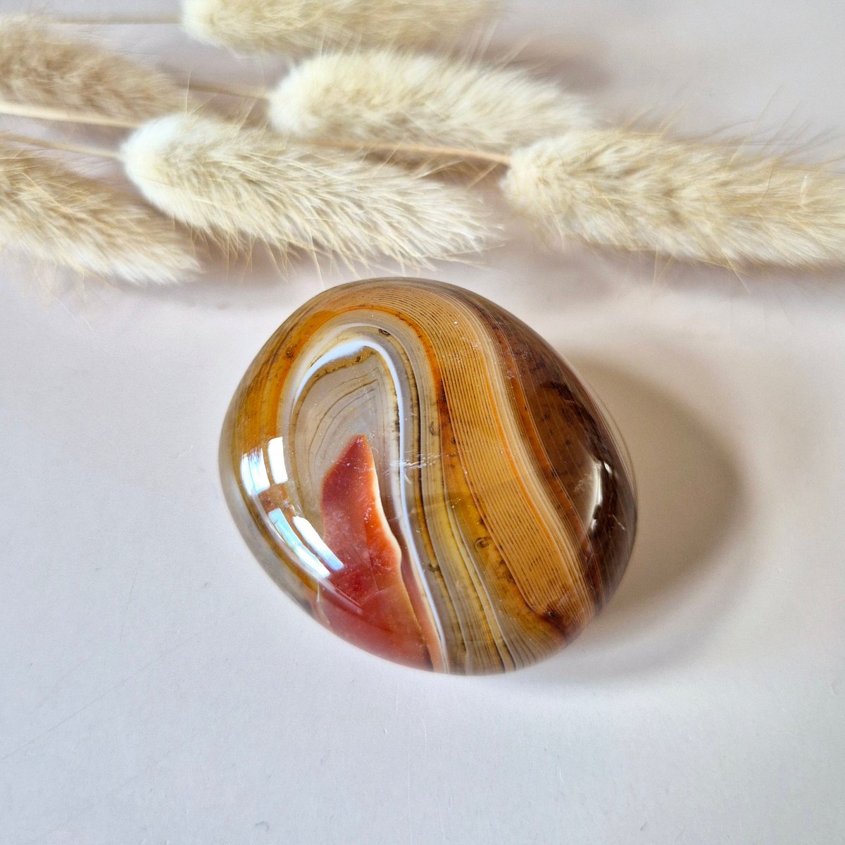 Sardonyx Palmsteen – Krachtige Gepolijste Steen Voor Balans En Zelfvertrouwen (5–10 Cm)