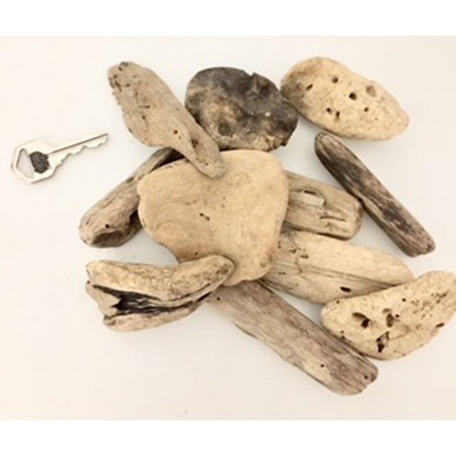 Small Driftwood/10Pc