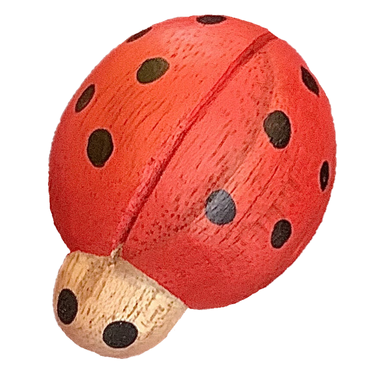 Red Ladybirds/7Pc