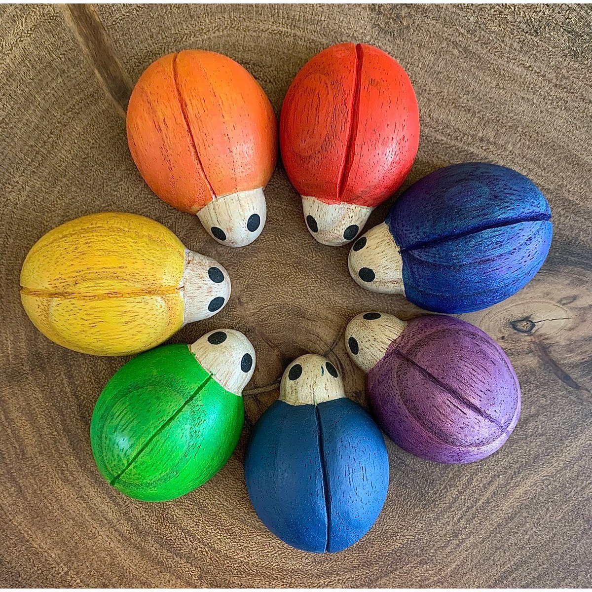 Rainbow Ladybirds/7Pc