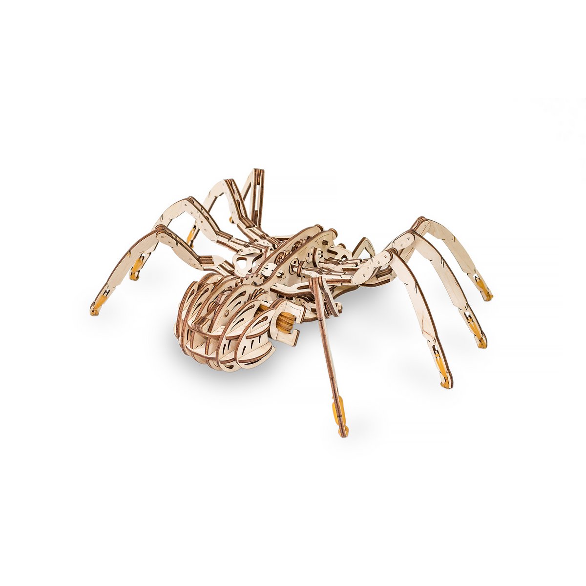 Eco Wood Art (Ewa) 3D Mechanische Houten Puzzel, Spin/ Spider, 488, 24X35X10Cm