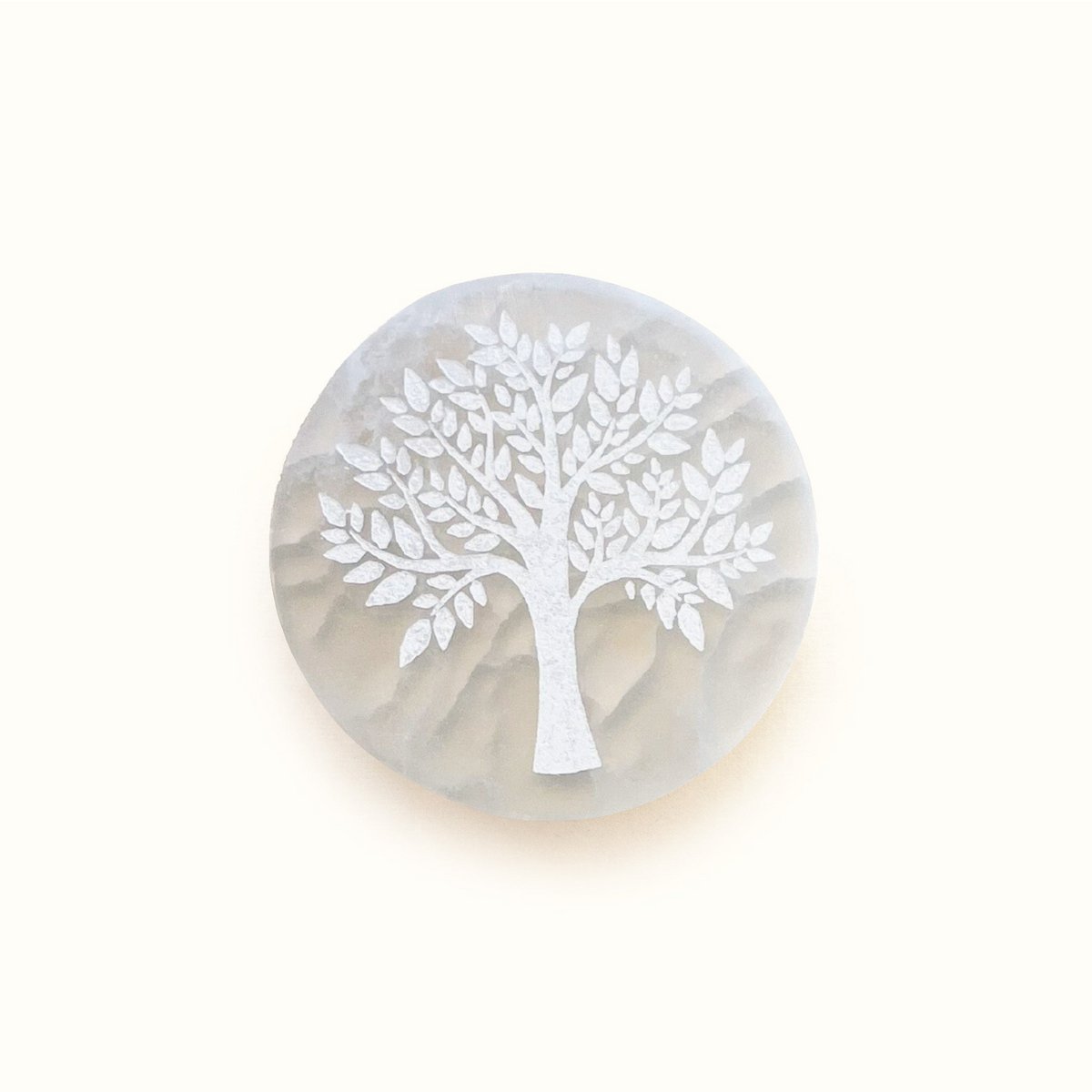 Selenite Plaatstructuur Van Het Leven