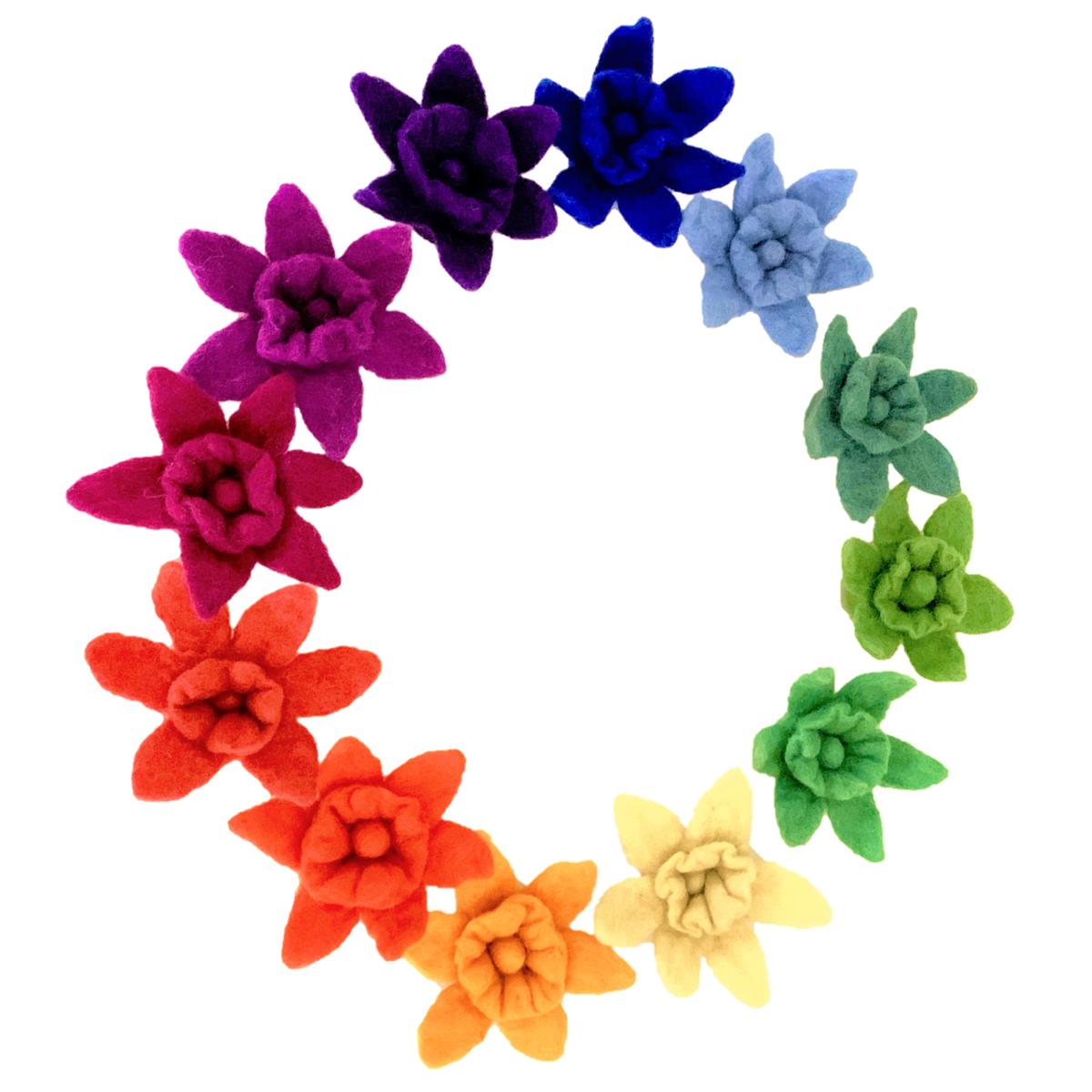 Goethe Daffodils/12Pc