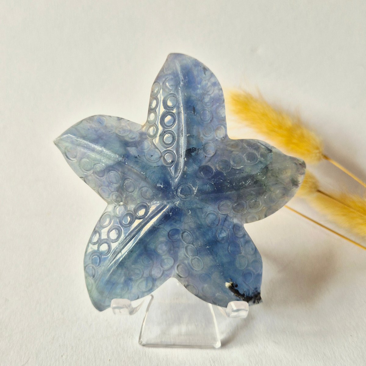 Regenboog Fluoriet Zeester Carving – Ca. 10 Cm #3