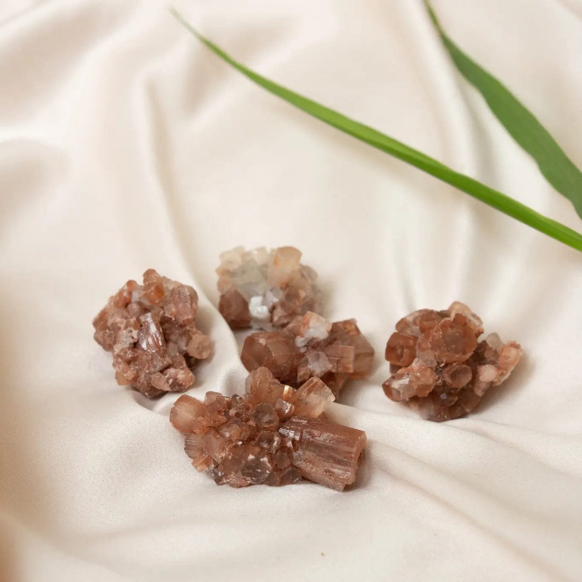 Aragonite Brown