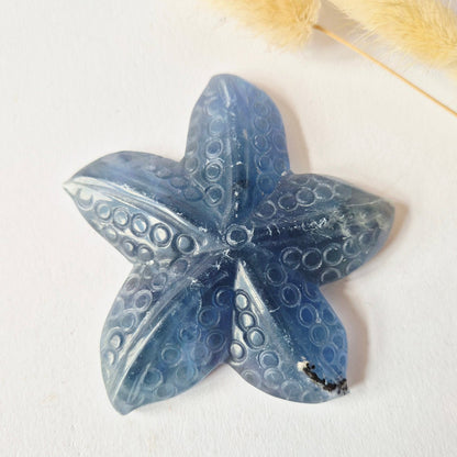 Regenboog Fluoriet Zeester Carving – Ca. 10 Cm #3