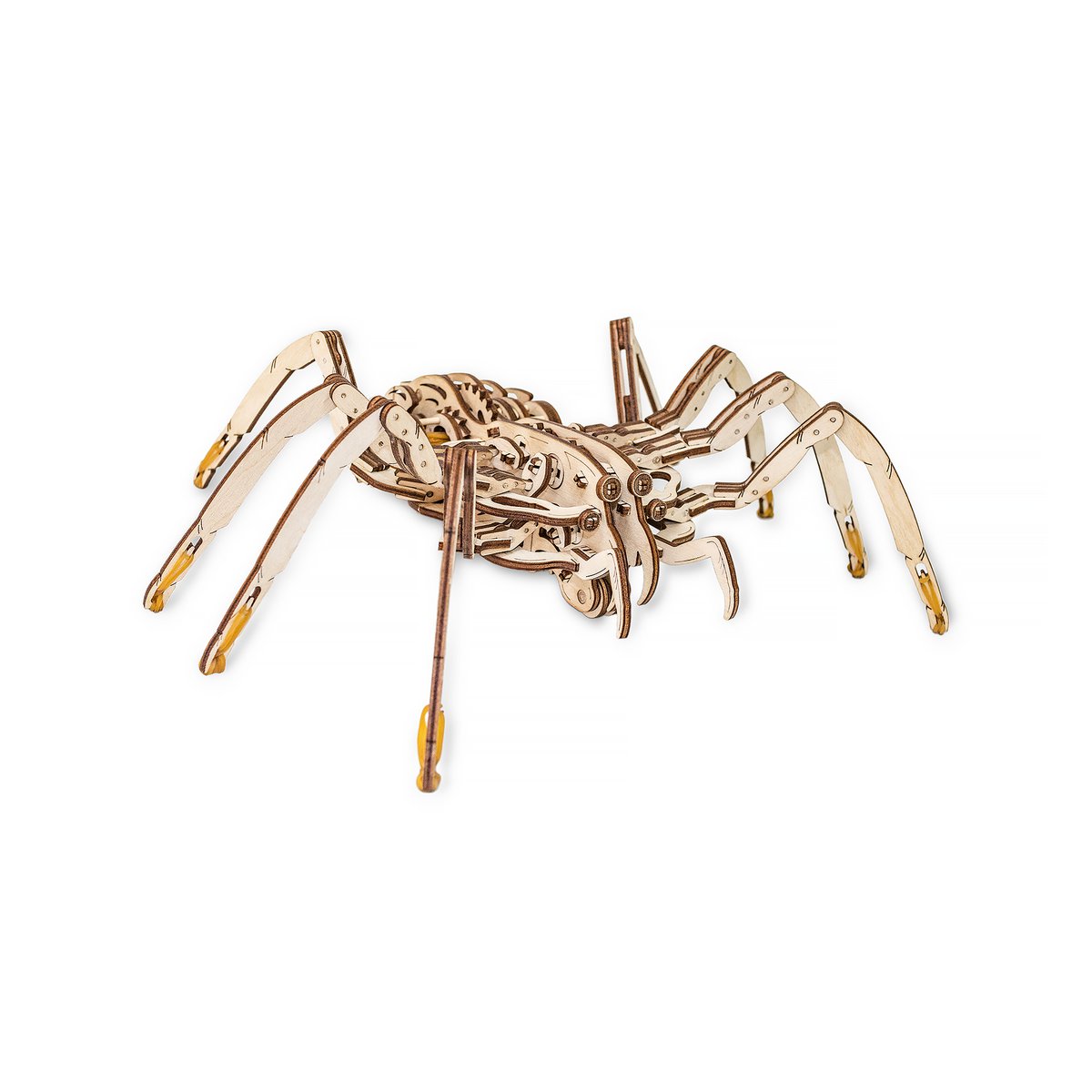 Eco Wood Art (Ewa) 3D Mechanische Houten Puzzel, Spin/ Spider, 488, 24X35X10Cm