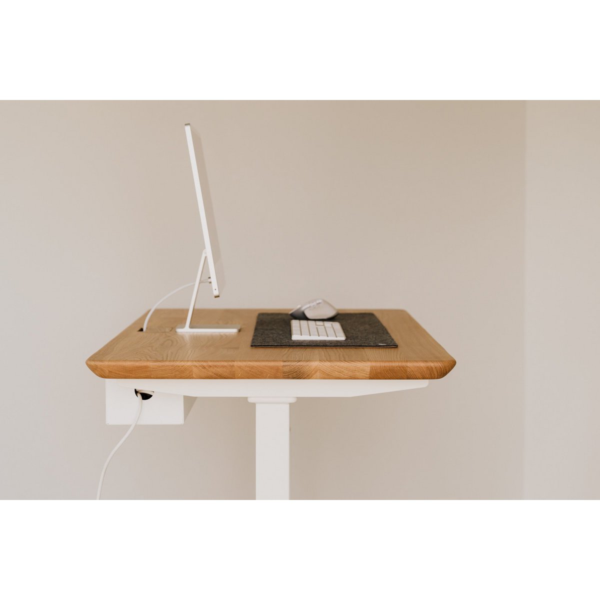 Organisatorbak Onder Het Bureau