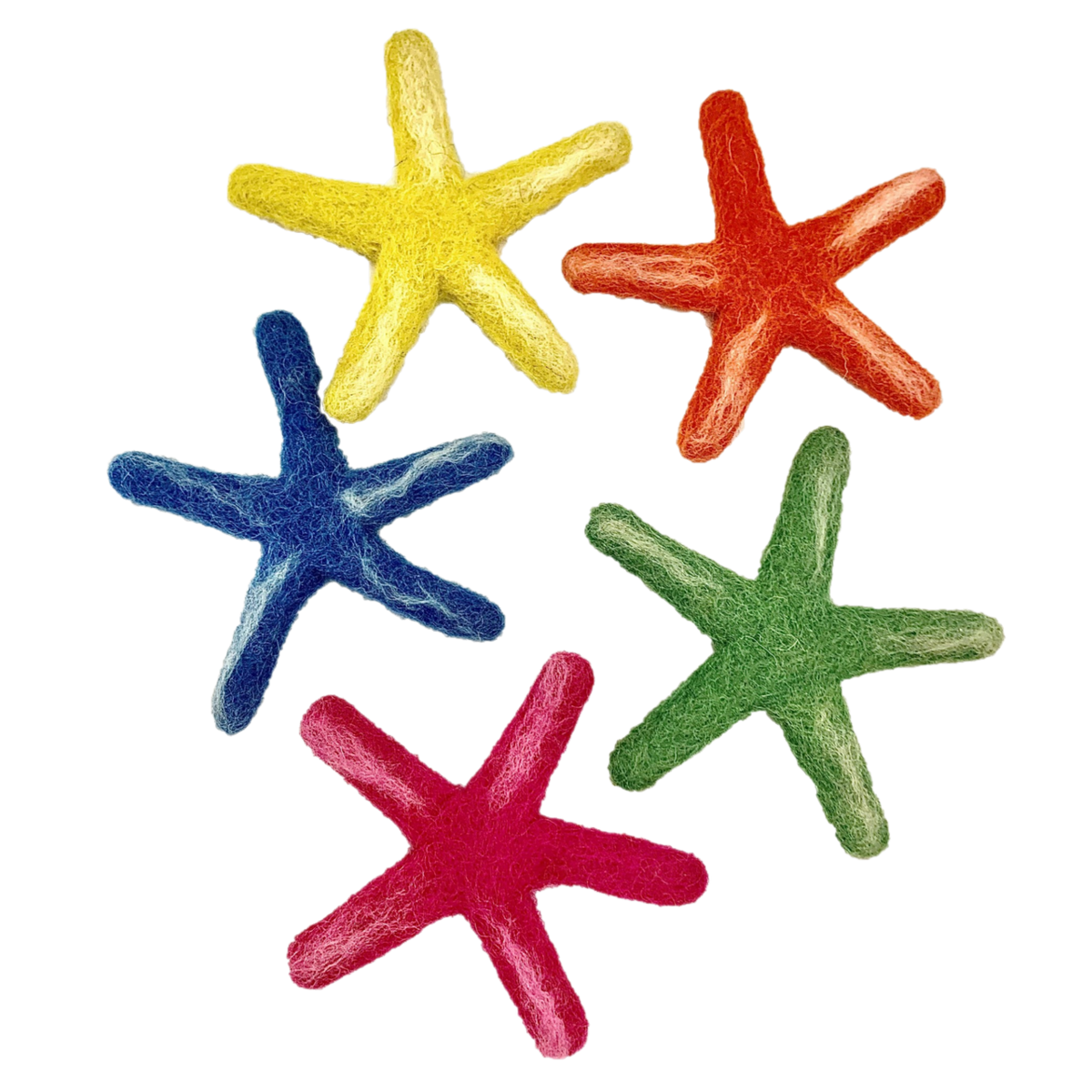 Sea Star Laevigata/5Pc