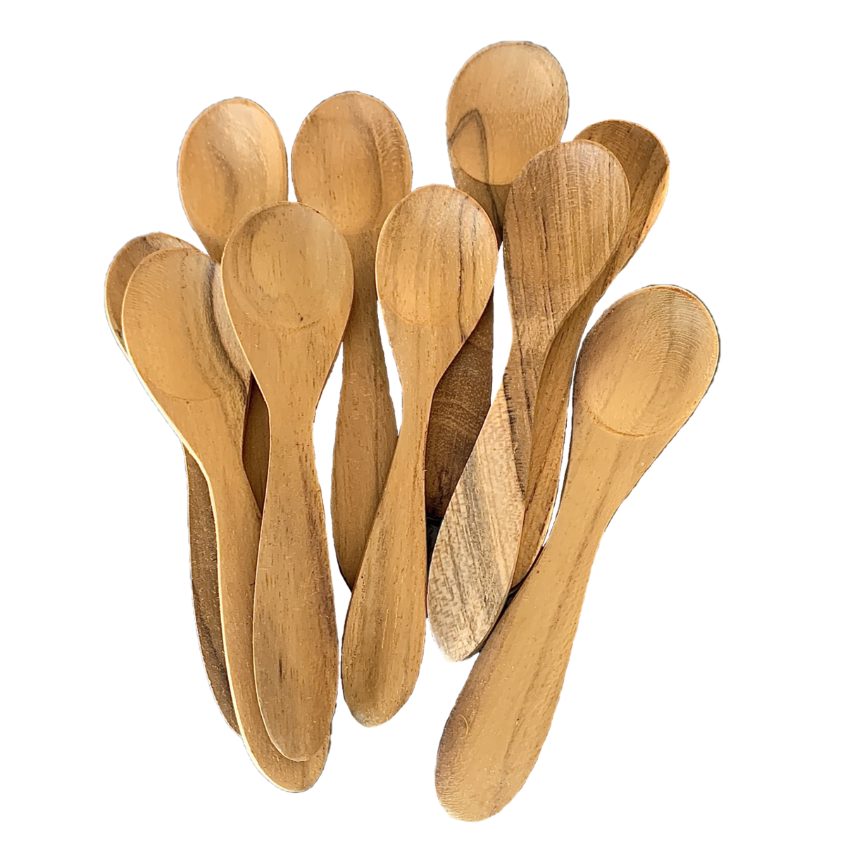 Mini Spoon Set/10Pc