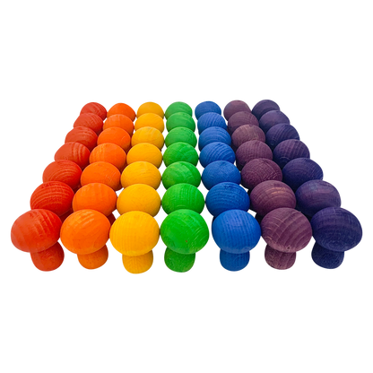 Mini Rainbow Mushroom/49Pc