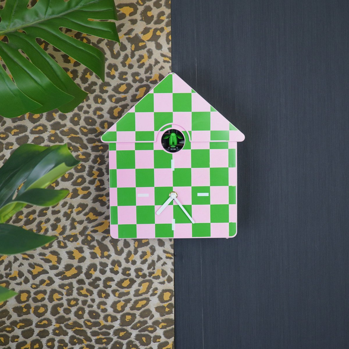 Klokklokkoekjeskoekoekpatroon- Green/Roze- 24X27X9Cm