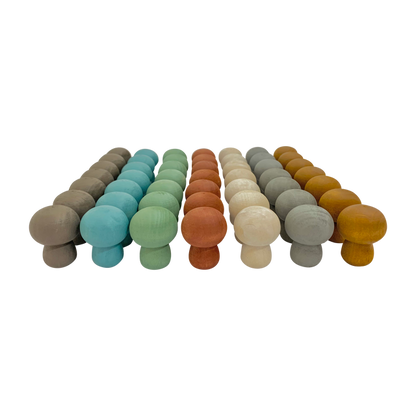 Mini Earth Mushroom/49Pc