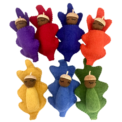 Rainbow Acorn Babies/7Pc