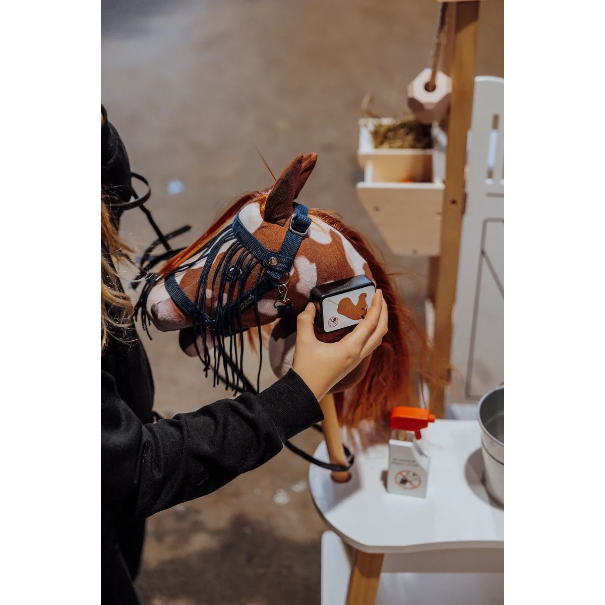 Insectenset Voor Hobby Horse