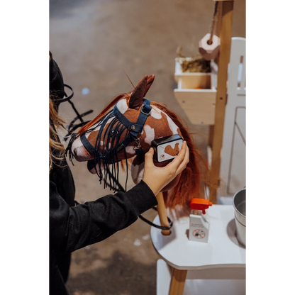 Insectenset Voor Hobby Horse