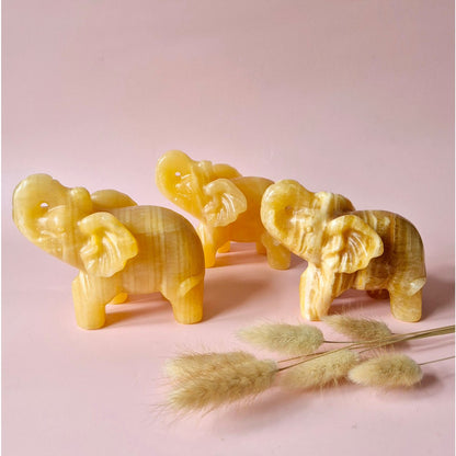Edelsteen Gele Calciet Olifant Edelsteen Beeldje – 10-12 Cm | ±650G (Yellow Calcite Crystal)