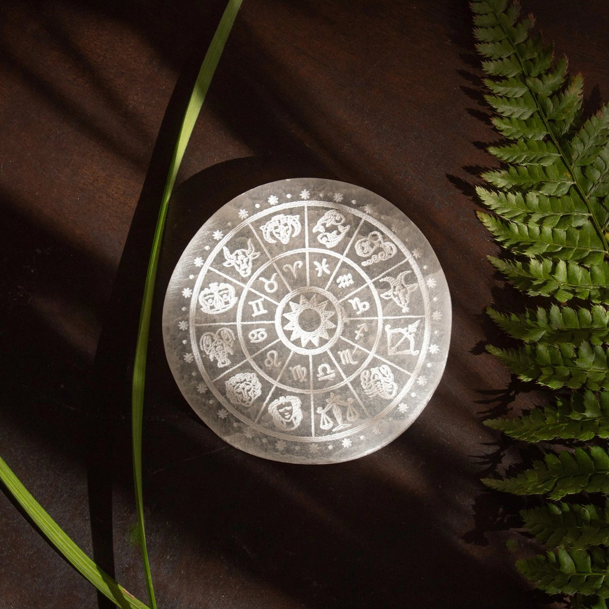 Selenietplaat Zodiac