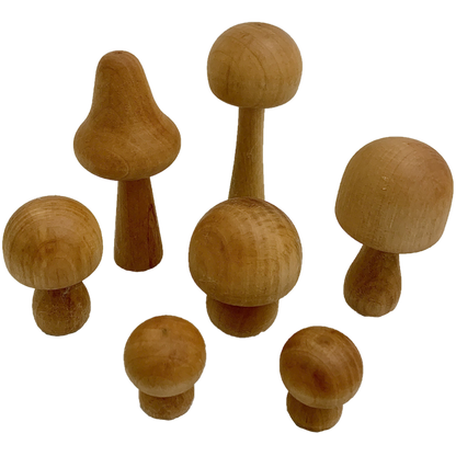 Mushroom Natural / 7Pc