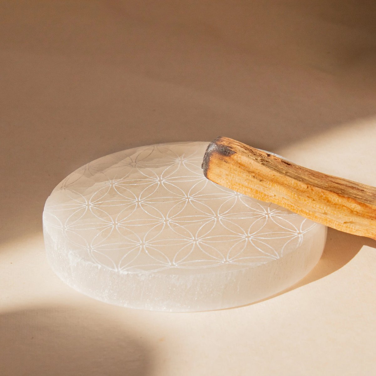 Selenite Plaatbloem Van Het Leven