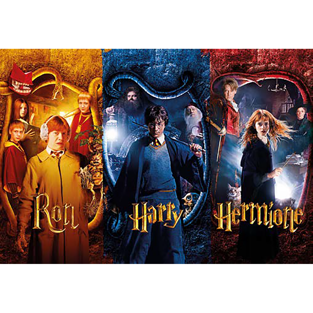 Harry Potter - Puzzel 50 Stukjes - Harry Potter En De Geheime Kamer
