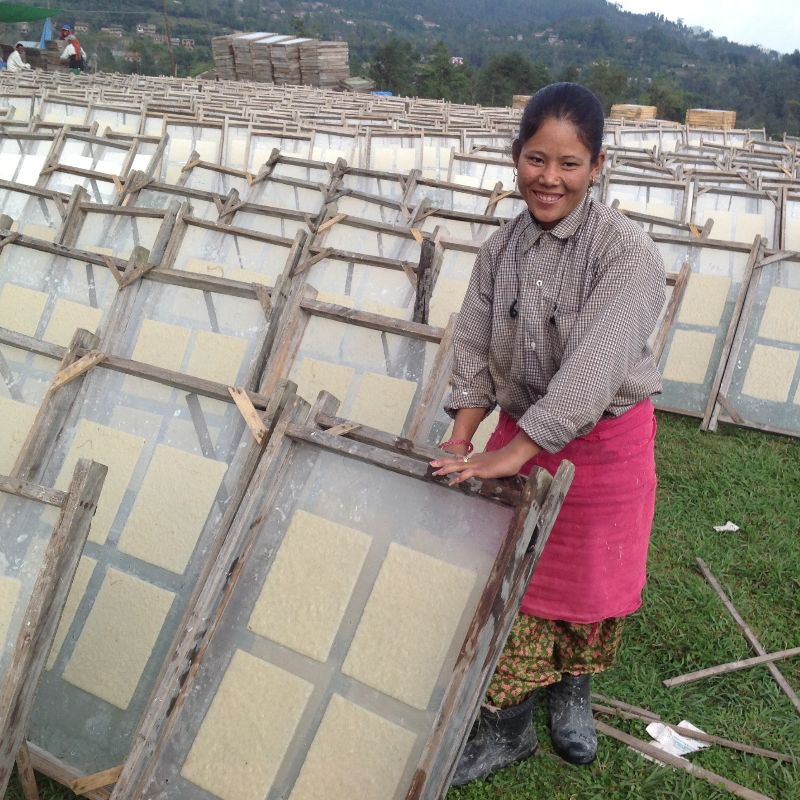 Luna-Leena Wenskaartenset + Slinger Sterren Goud - Verticaal - L115Cm - Goud - Ecovriendelijk Papier - Handgemaakt In Nepal