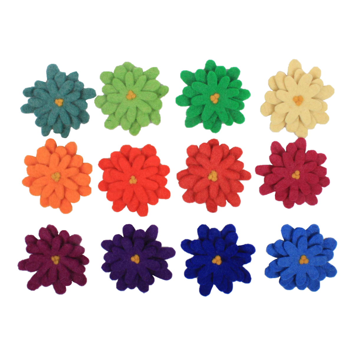 Goethe Aster Flowers 12Pc