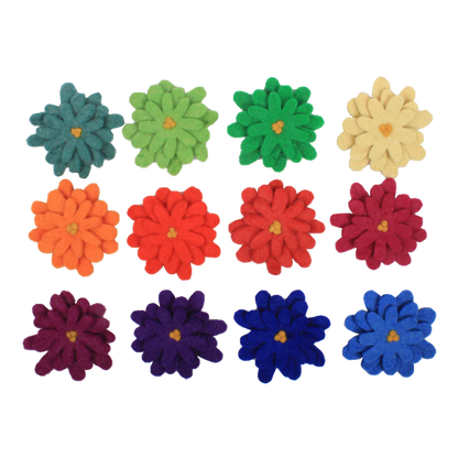 Goethe Aster Flowers 12Pc