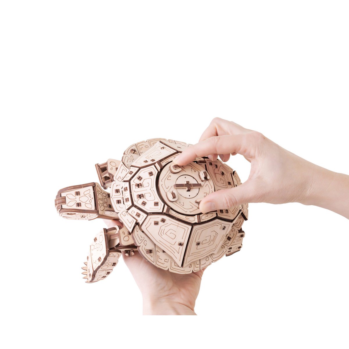Eco Wood Art (Ewa) 3D Mechanische Puzzel Schildpad/ Turtle, 976, 22,3X16,5X11,6Cm