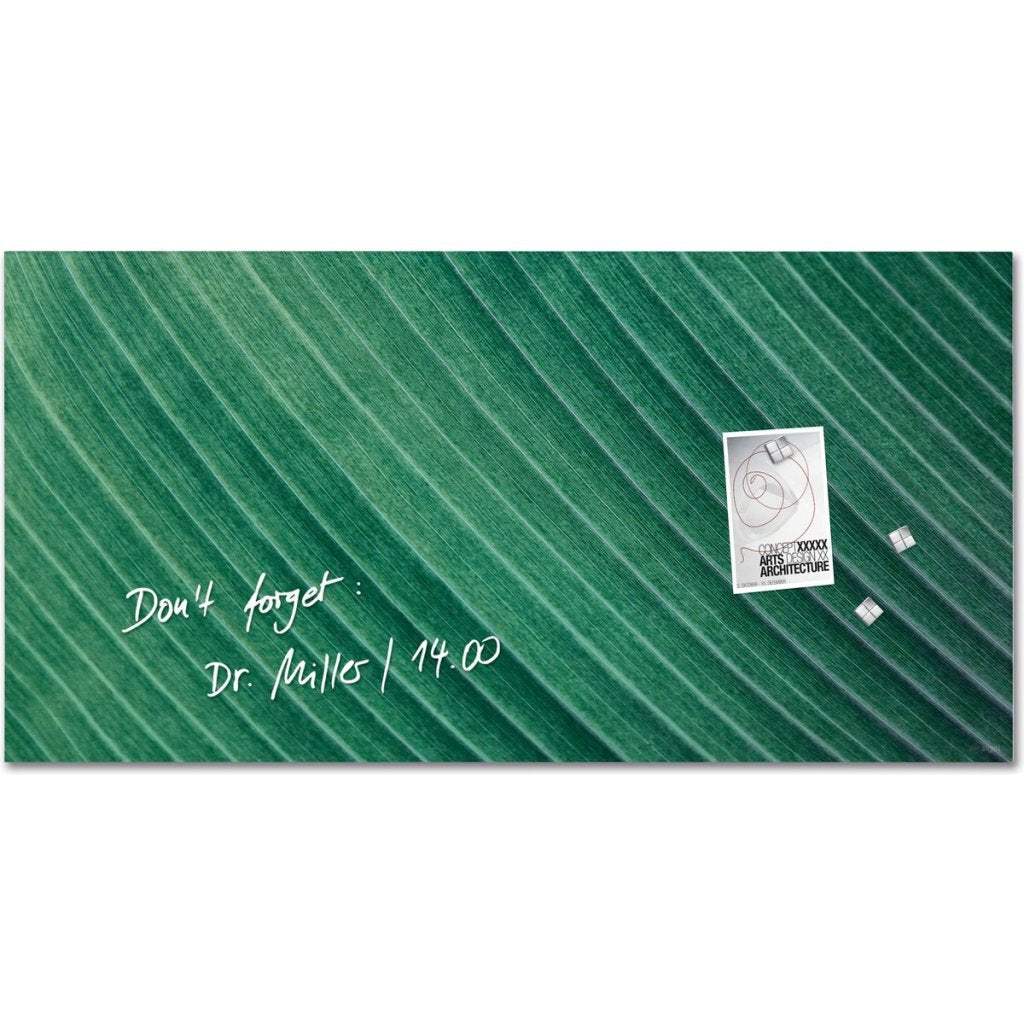 Sigel Si-Gl371 Glasmagneetbord Artverum Palm Leaf 91X46 Cm Groen