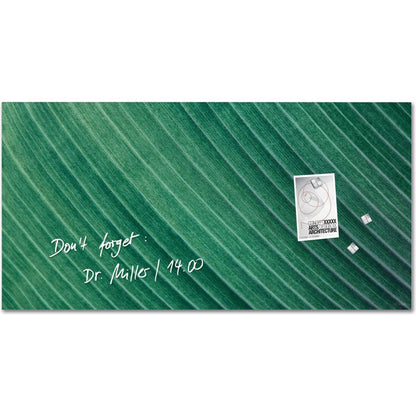 Sigel Si-Gl371 Glasmagneetbord Artverum Palm Leaf 91X46 Cm Groen