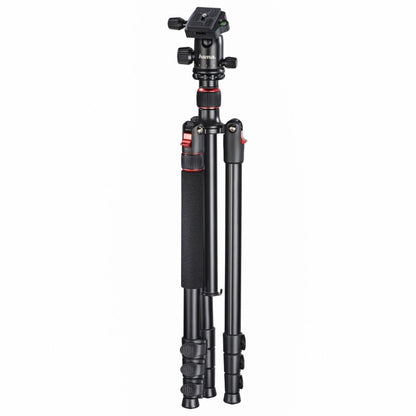 Hama Statief Tar Duo 165 - Ball