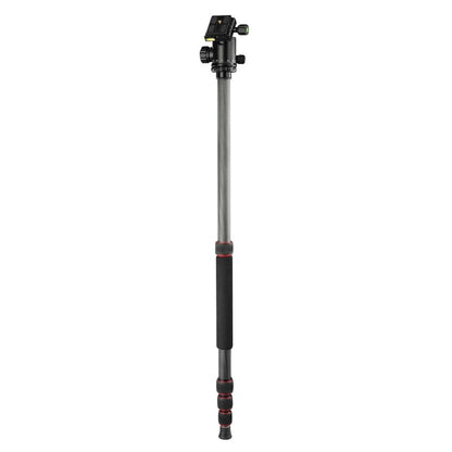 Hama Ramble Ii Duo Carbon Statief 170 Cm Zwart/Rood