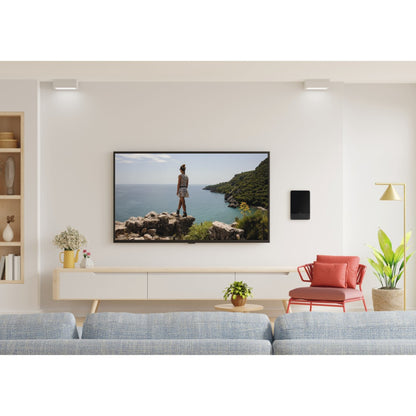 Hama Kamerantenne Pro Voor Dab+ Dab Dvb-T2 Fm Zwart