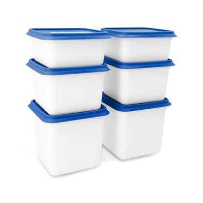 Day To Day Alaska Diepvriesbakken 2X750 Ml 2X1200 Ml Blauw/Wit