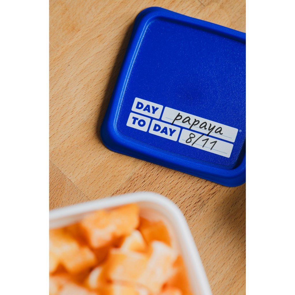 Day To Day Alaska Diepvriesbakken 2X750 Ml 2X1200 Ml Blauw/Wit