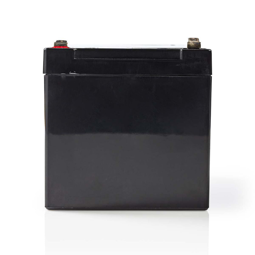 Nedis Bala1200012V Oplaadbare Loodzuuraccu 12V 12 000 Mah 167 X 181 X 77 Mm