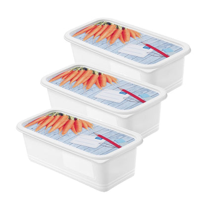 Rotho Domino Diepvriesdozen Etiket Decor 3X1.2L Wit