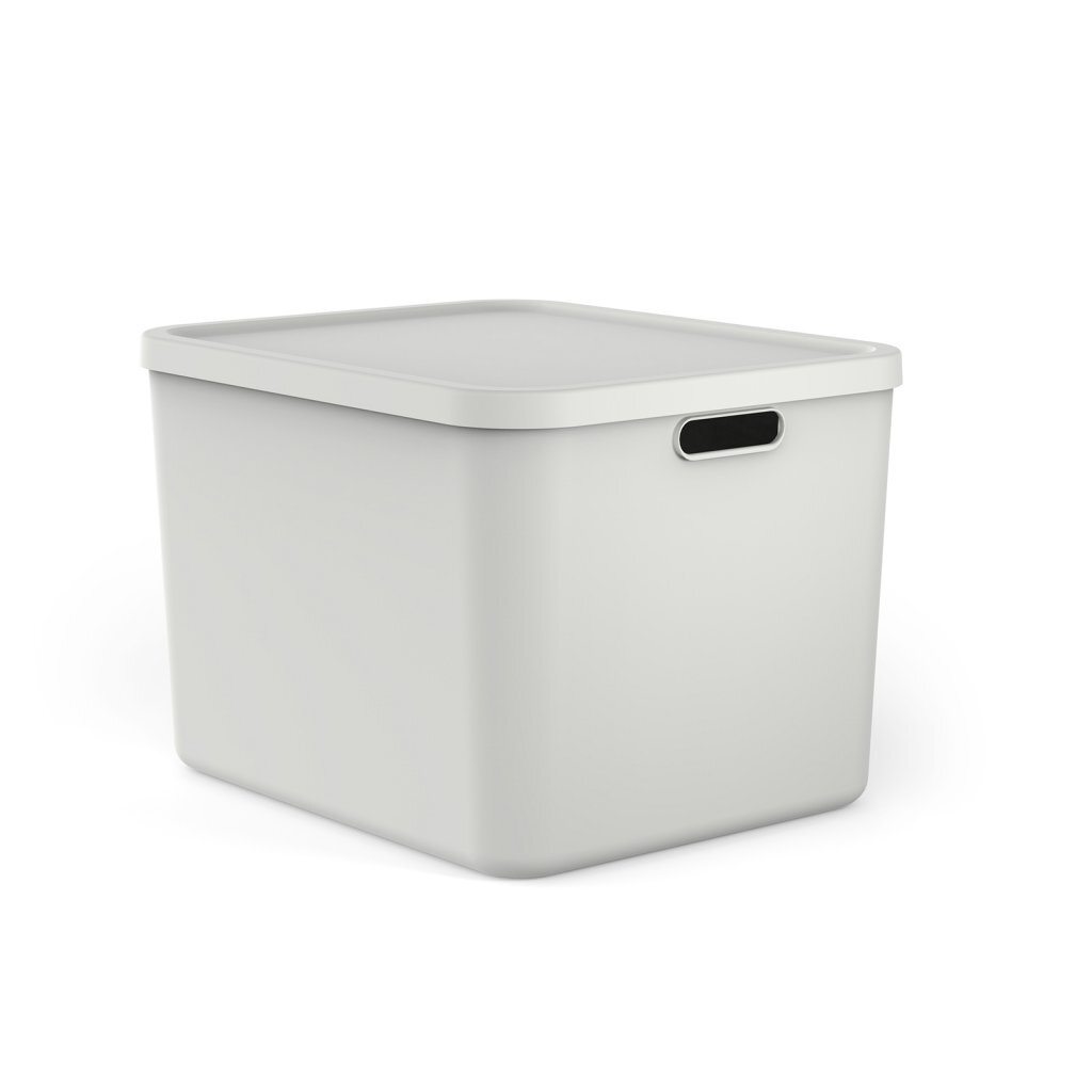 Rotho Albula Multibox 55L Wit