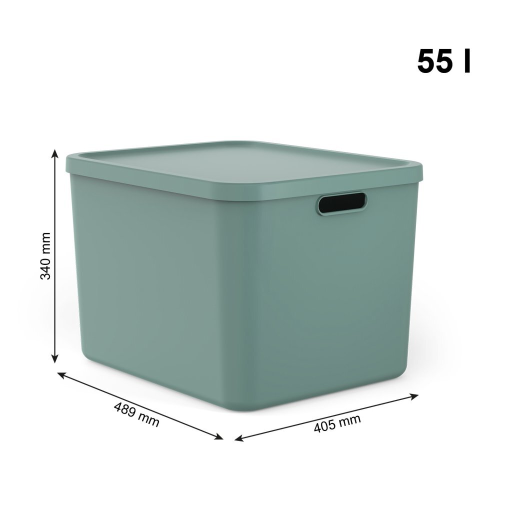 Rotho Albula Multibox 55L Mistletoe Groen