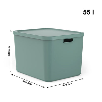 Rotho Albula Multibox 55L Mistletoe Groen