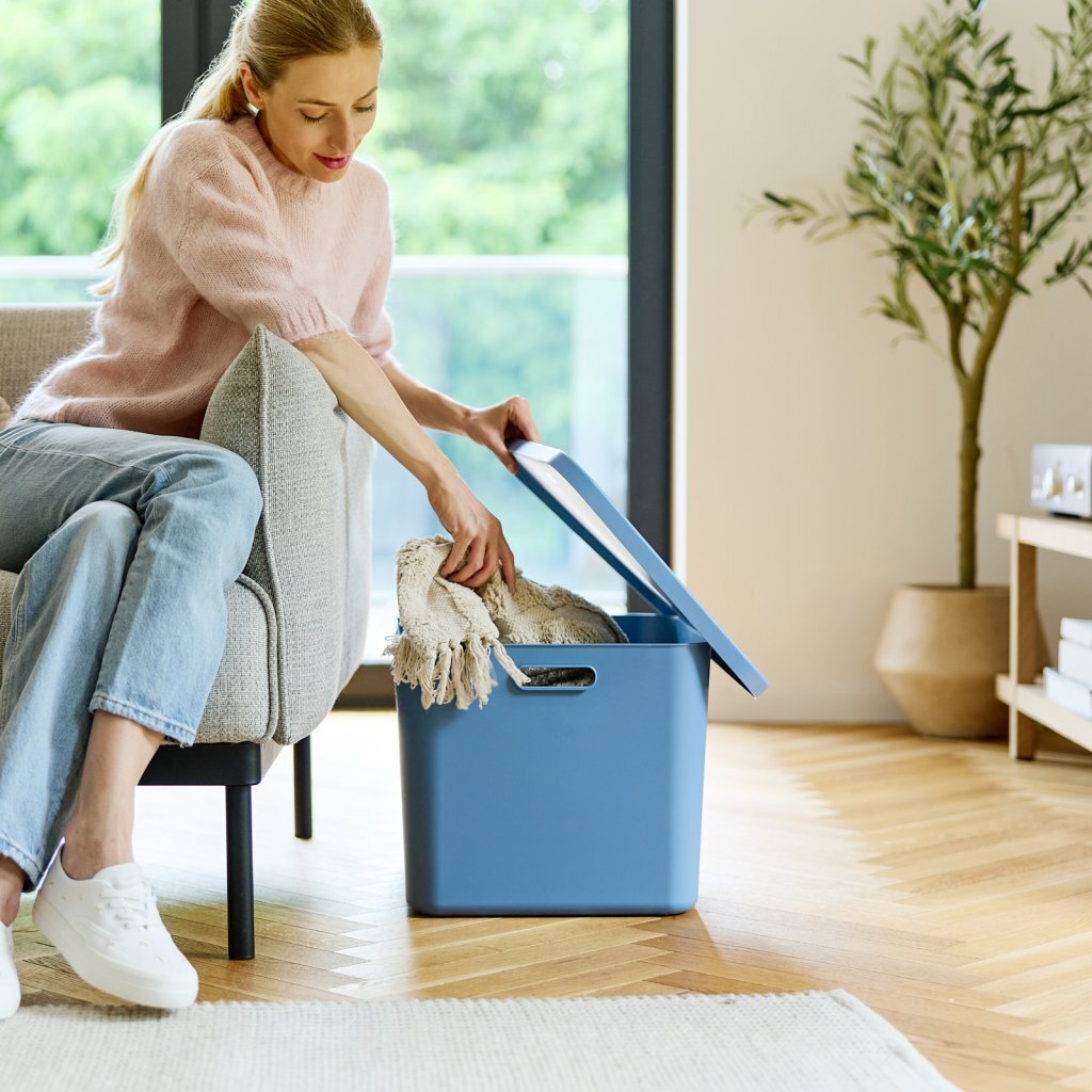 Rotho Albula Multibox 55L Blauw