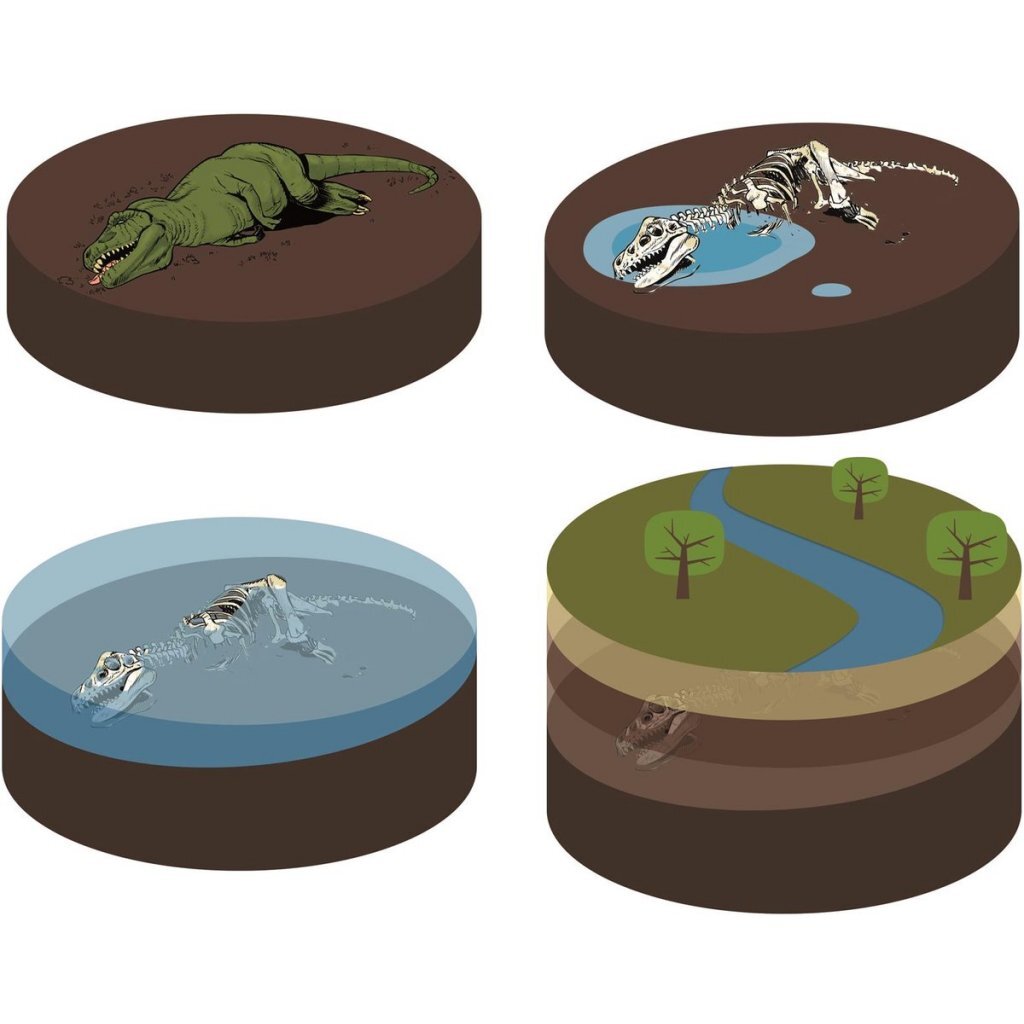 Clementoni Jurassic World Graaf Set