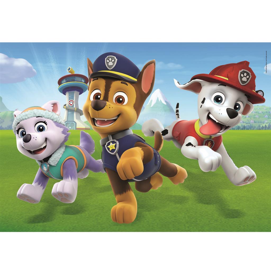 Clementoni Supercolor Puzzel Paw Patrol 2X20 Stukjes