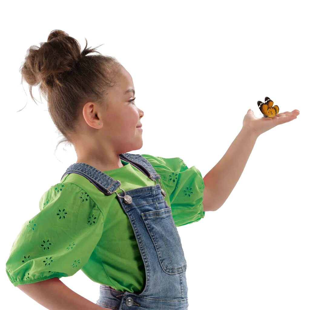 Ses Creative Explore Houten Vlinderhotel Maken