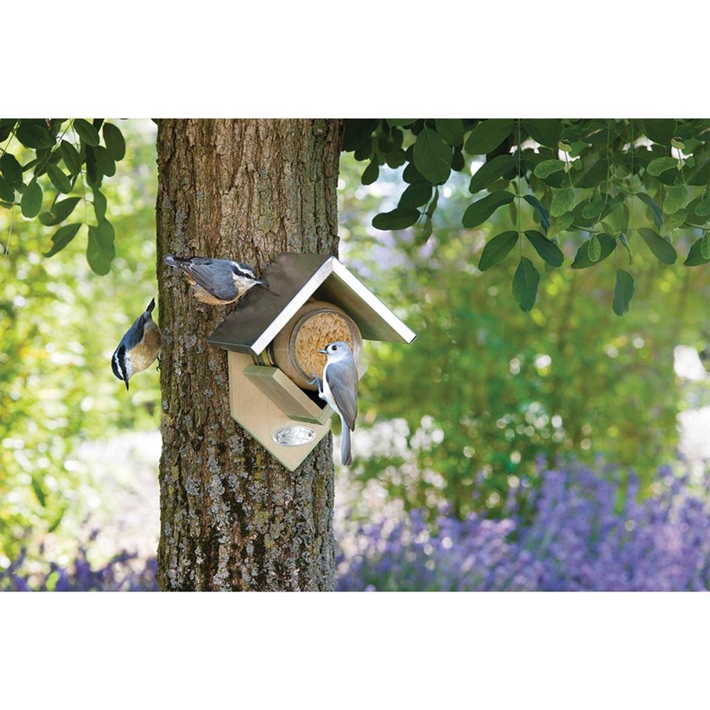 Best For Birds Houten Pindakaashuisje
