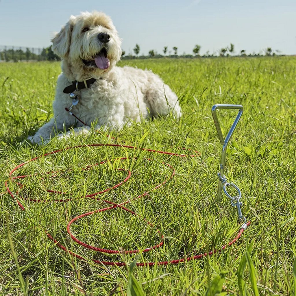 Proplus Aanlegspiraal Met Kabel 450 Cm Chroom/Rood